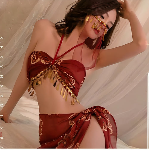 Belly Dance-Inspired Lingerie Set ✨